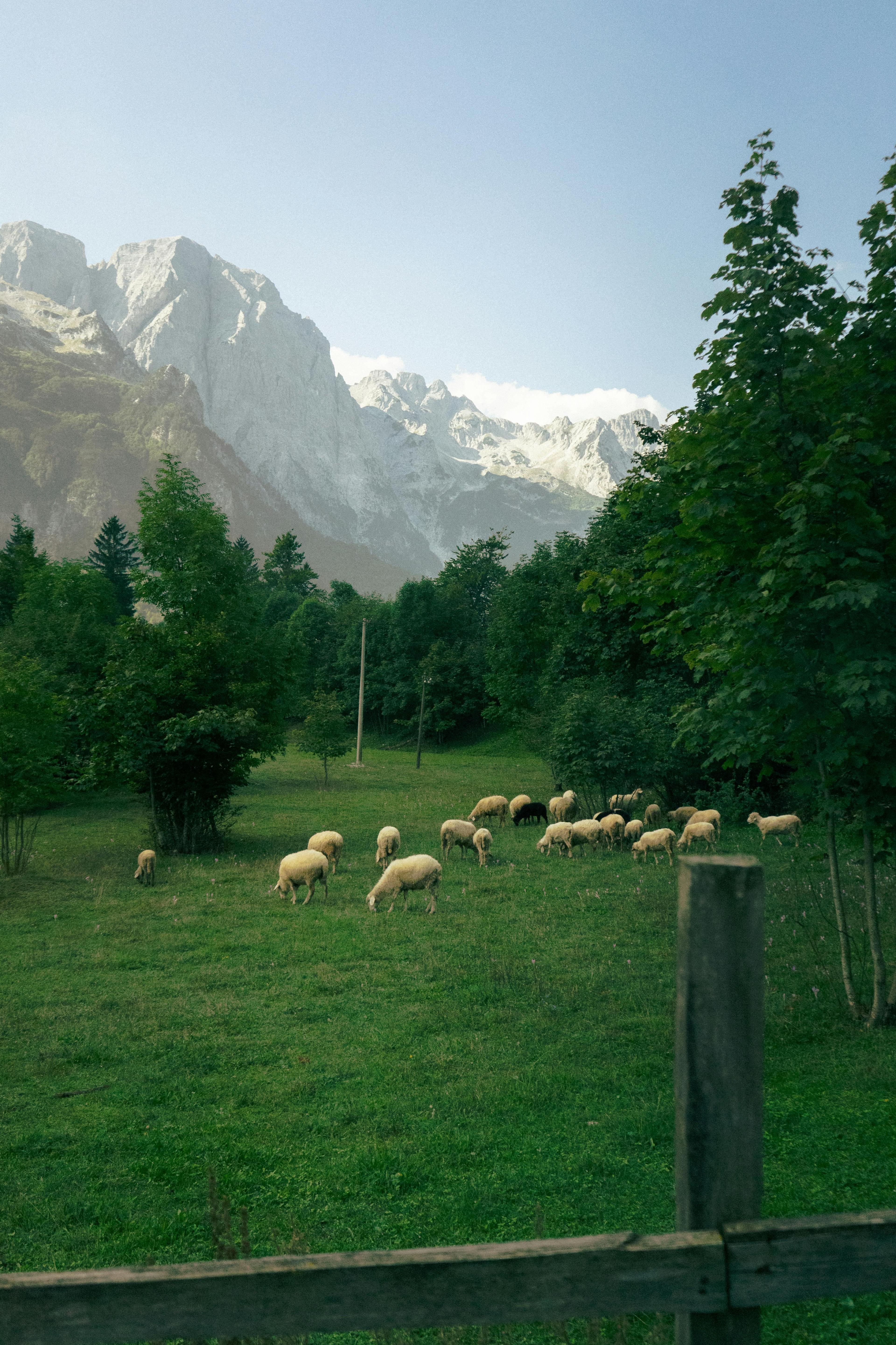 Car Rental for the Albanian Alps image 1